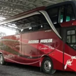 jadwal BUS PANGKALAN BUN PALANGKARAYA