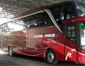 jadwal BUS PANGKALAN BUN PALANGKARAYA